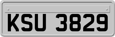 KSU3829