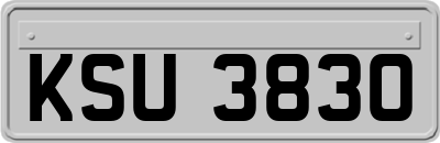 KSU3830
