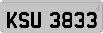 KSU3833