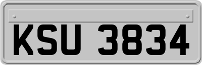 KSU3834