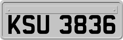 KSU3836