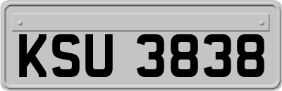 KSU3838