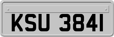 KSU3841