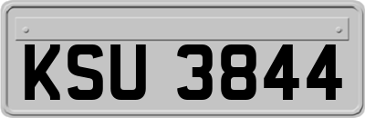 KSU3844