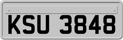 KSU3848
