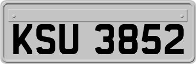 KSU3852