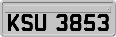 KSU3853