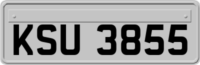 KSU3855