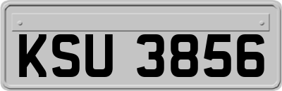 KSU3856