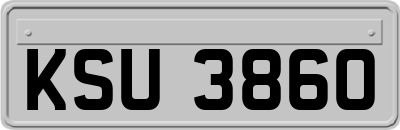 KSU3860
