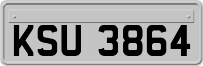 KSU3864