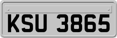 KSU3865