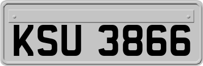 KSU3866
