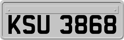 KSU3868