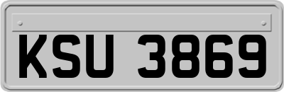 KSU3869