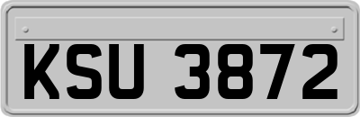 KSU3872