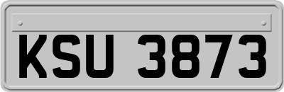 KSU3873