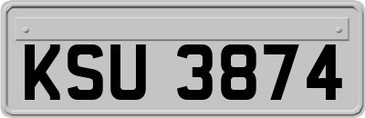 KSU3874