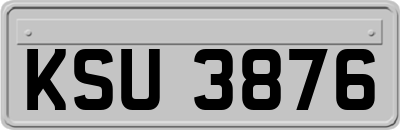 KSU3876