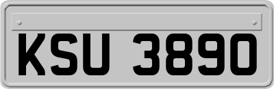 KSU3890