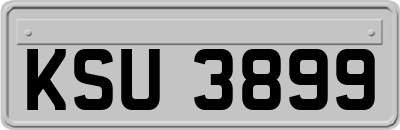 KSU3899