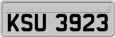 KSU3923