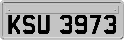 KSU3973