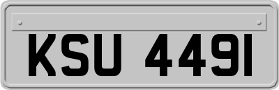 KSU4491