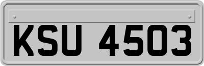 KSU4503