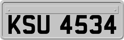 KSU4534