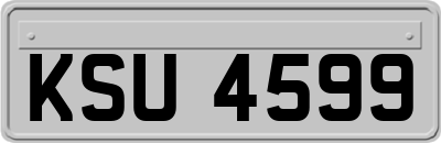 KSU4599