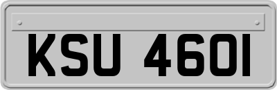 KSU4601