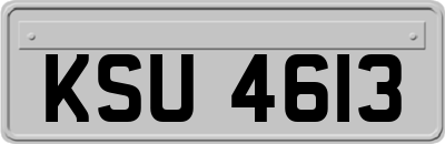 KSU4613