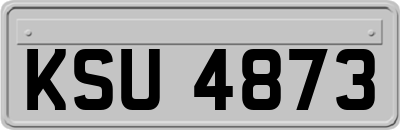 KSU4873