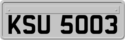 KSU5003