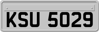 KSU5029