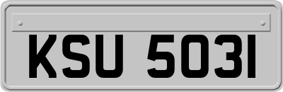 KSU5031