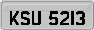 KSU5213