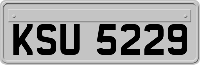 KSU5229