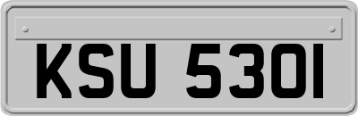 KSU5301