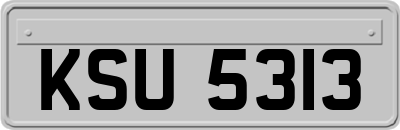 KSU5313