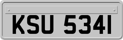 KSU5341