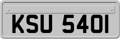 KSU5401