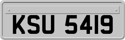 KSU5419