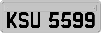 KSU5599