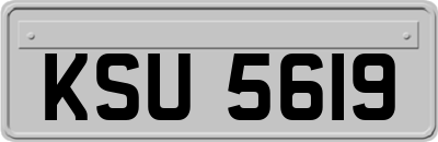KSU5619