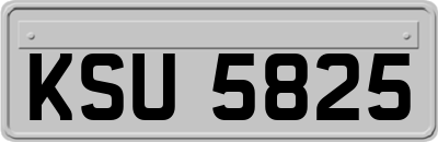 KSU5825
