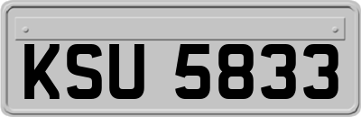 KSU5833