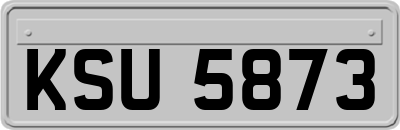 KSU5873