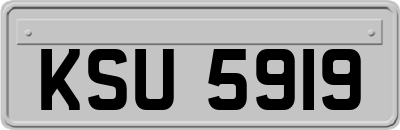 KSU5919